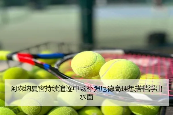 阿森纳夏窗持续追逐中场补强厄德高理想搭档浮出水面